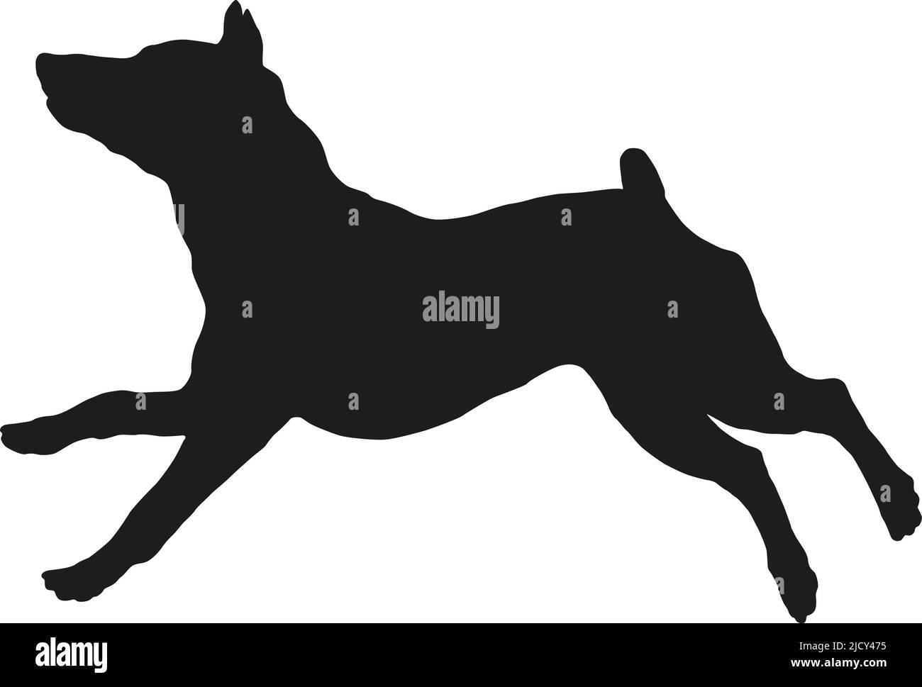 Black dog silhouette. Running and jumping zwergpinscher puppy. Miniature pinscher or king of the toys. Pet animals. Isolated on a white background. Stock Vector