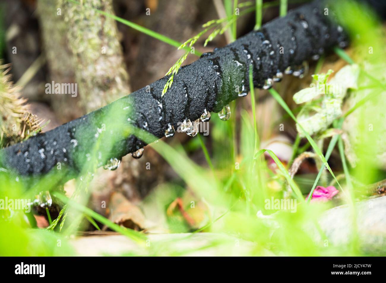 Automatic irrigation system hi-res stock photography and images - Alamy