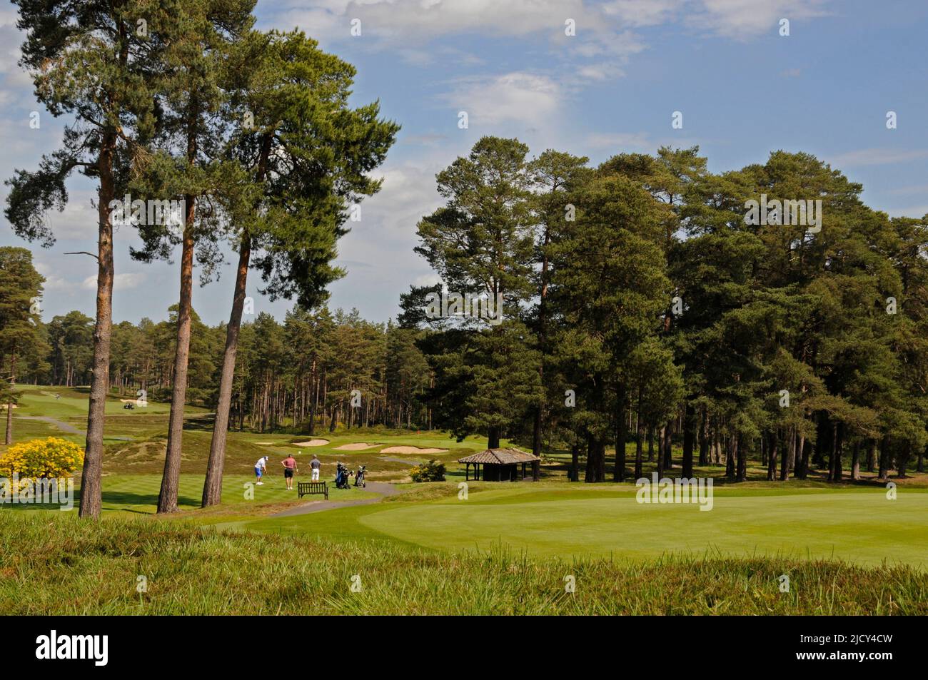View over part of 7th Green to 13th Tee with Golfers, Swinley Forest Golf Club, Ascot, Berkshire, England Stock Photo