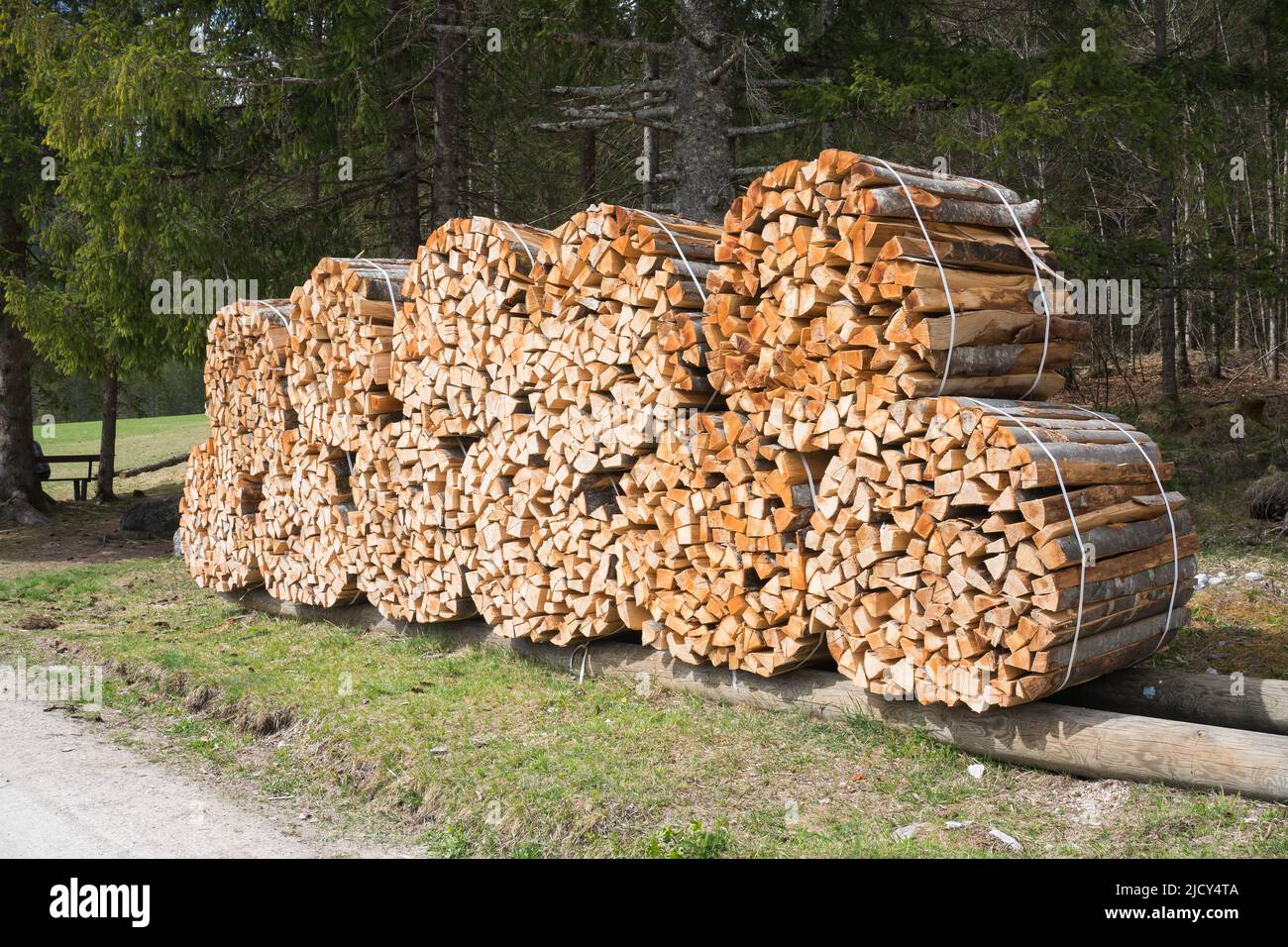 Deforestation in the nature. Pile of wood logs stumps. Sawn trees, logging timber wood industry. Stock Photo