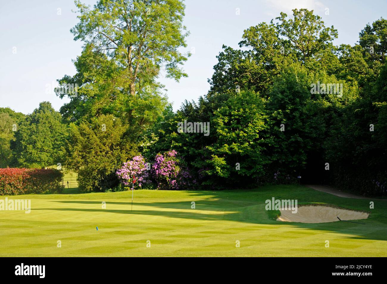 View over 1st Green on East Course with Rhododendron, Sundridge Park Golf  Club, Bromley, Kent, England Stock Photo