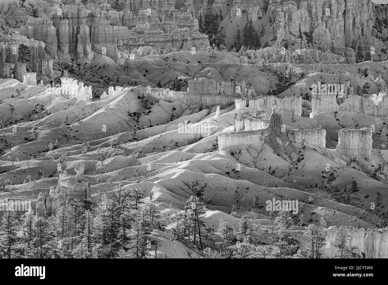 scenic view to the hoodoos in the Bryce Canyon national Park, Utah, USA Stock Photo