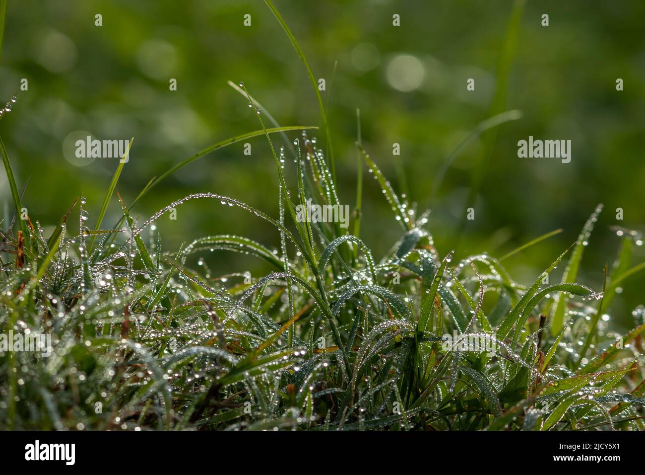 Sparkling sunlight on water hires stock photography and images Alamy