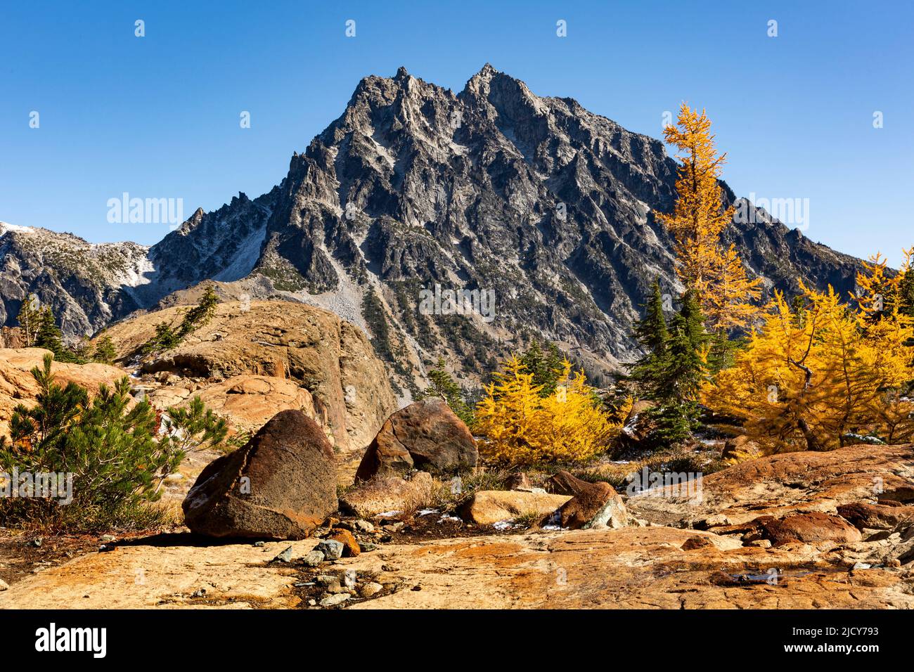 WA21687-00...WASHINGTON - Colorful rock and autumn colored alpine larch trees with a view of Mount Stuart from Ingalls Way in the Alpine Lakes Wildern Stock Photo