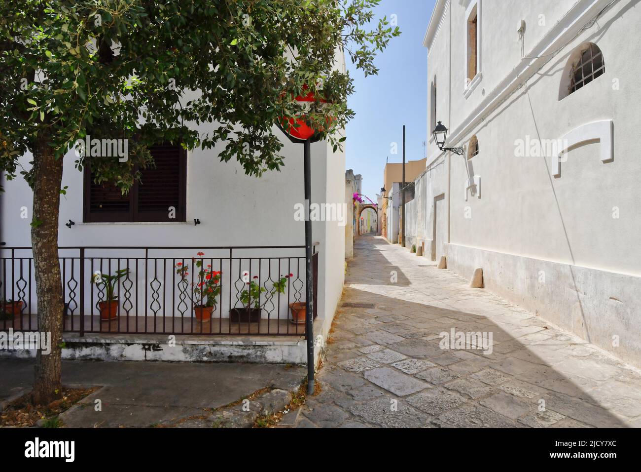 A narrow street between the old houses of Presicce, a picturesque