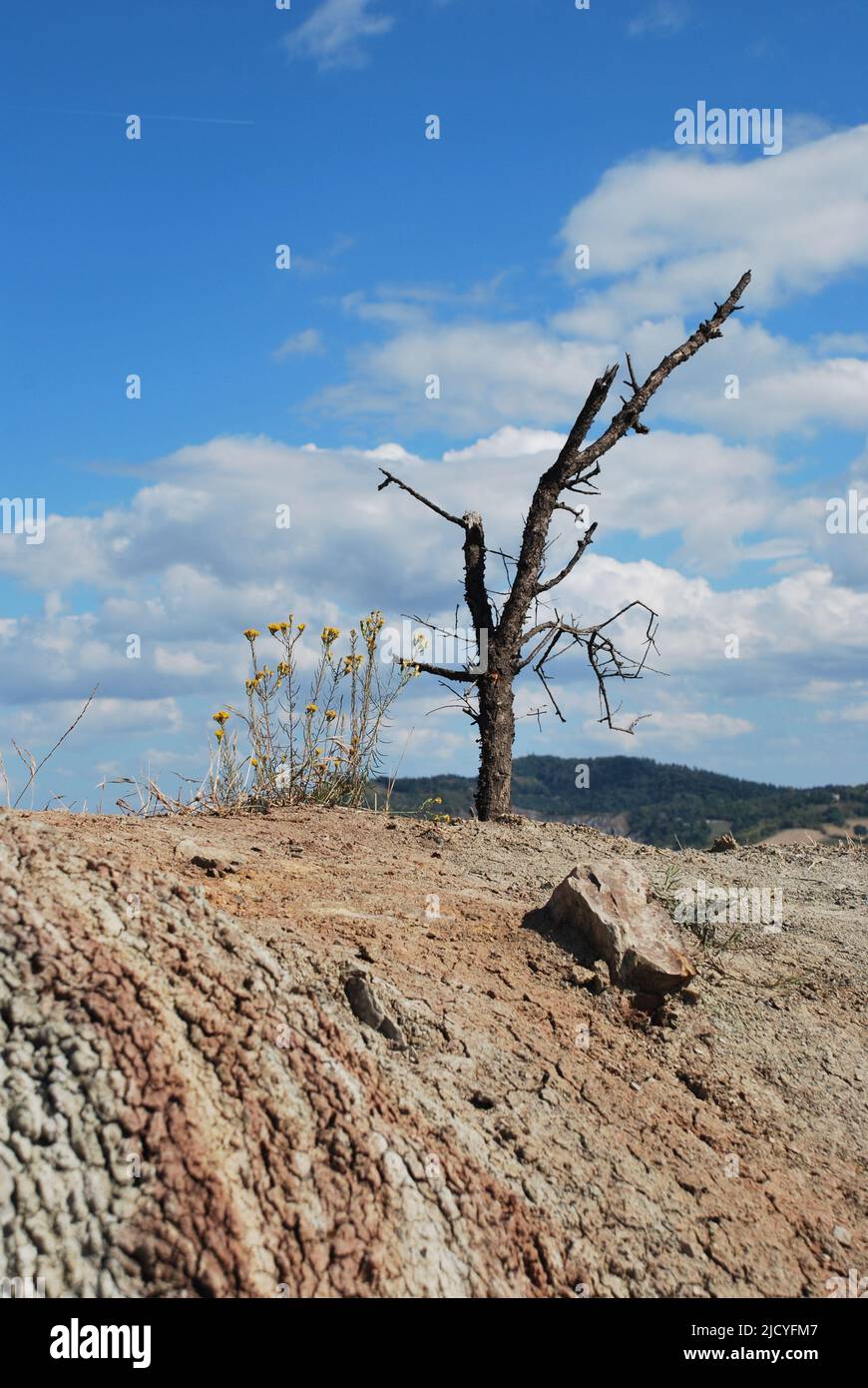 Sky sfondo hi-res stock photography and images - Alamy