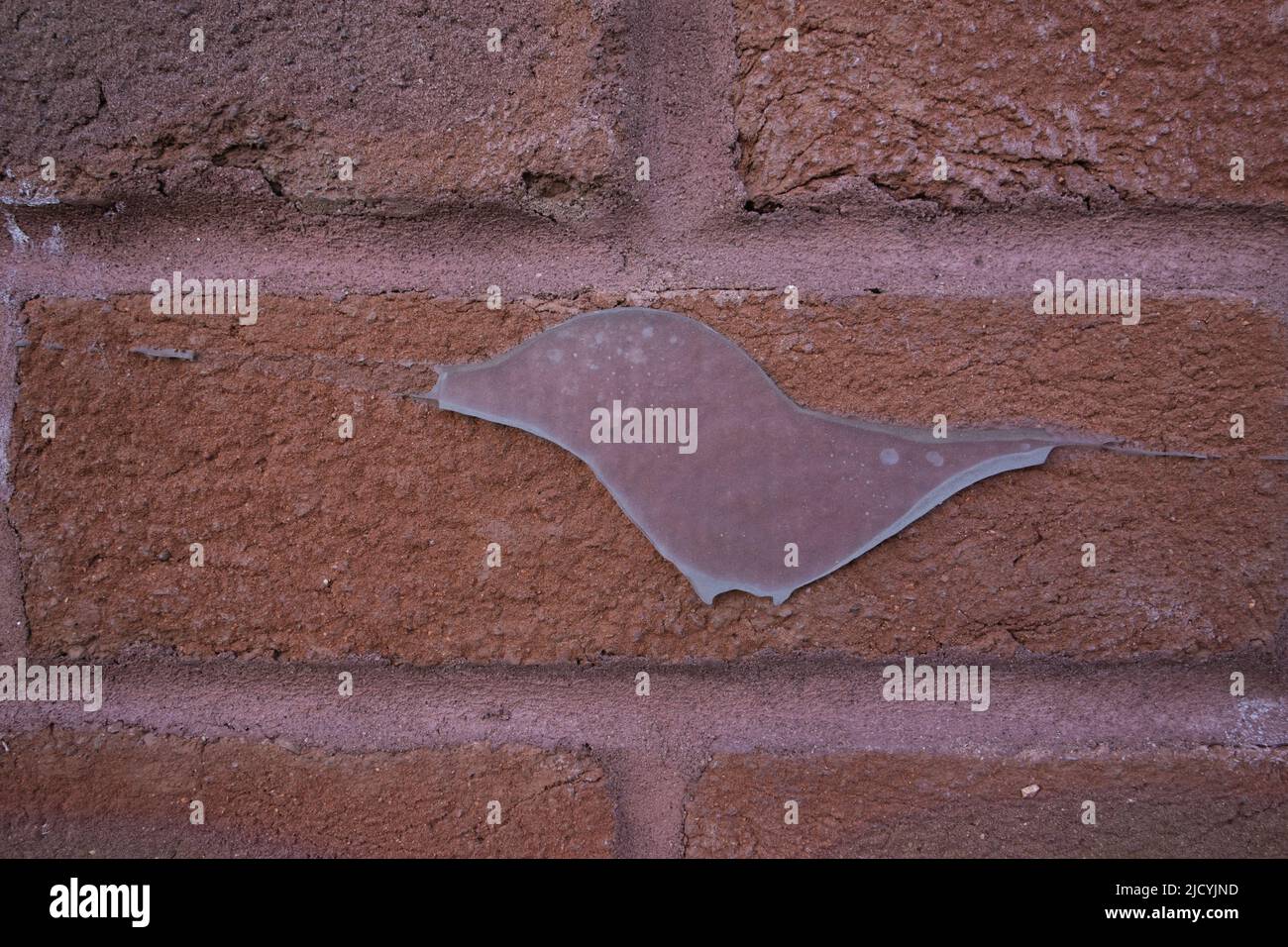 abstract clear silicone adhesive on a brick wall Stock Photo Alamy
