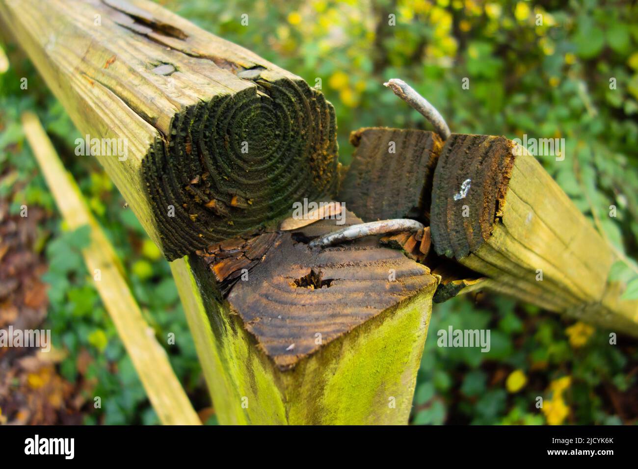 broken wooden hand rail with rusted and bent nails with a natural green background Stock Photo