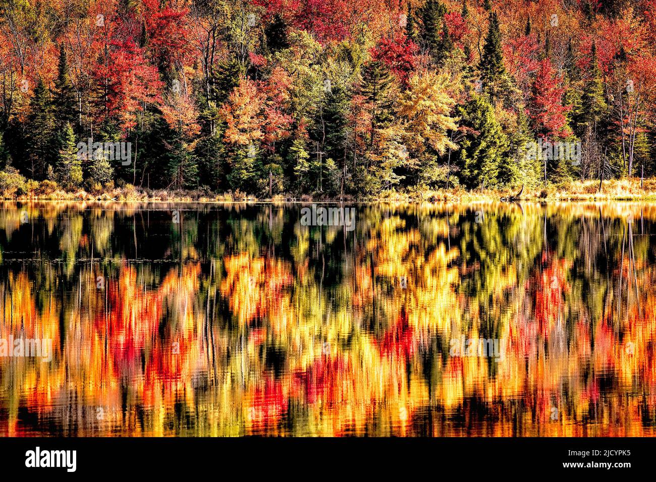 The forest around Long Pond reflects in the quiet waters in Vermont. Stock Photo