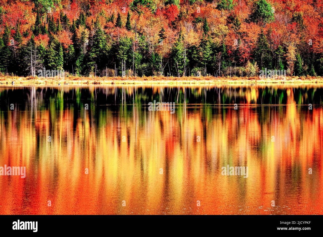 Fall color reflects in the still waters of Long Pond near Belvidere Corners, Vermont. Stock Photo