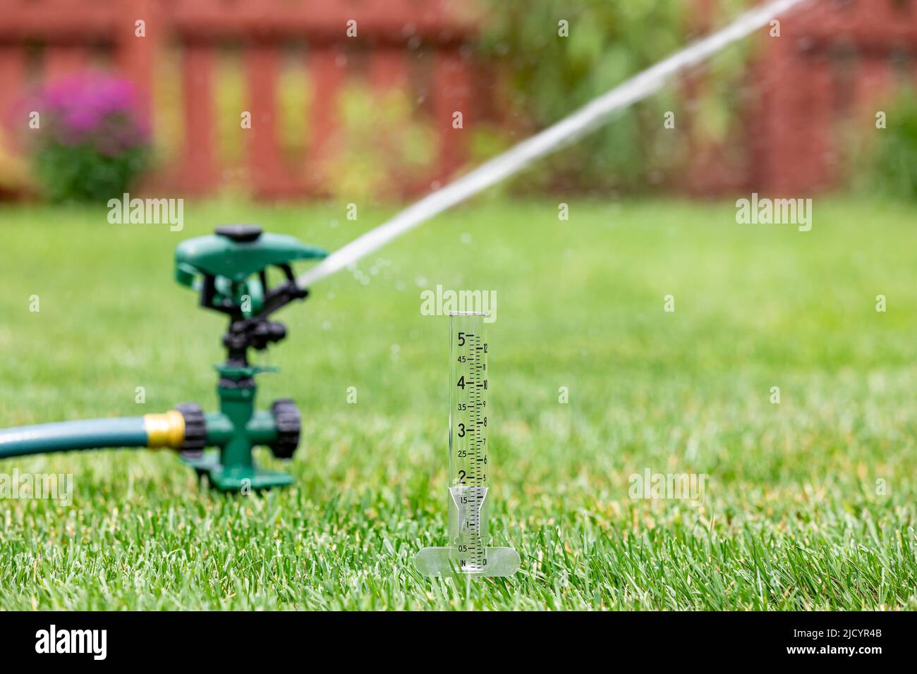 Rain gauge with lawn sprinkler watering grass in yard. Drought, water conservation, restrictions and lawncare concept Stock Photo
