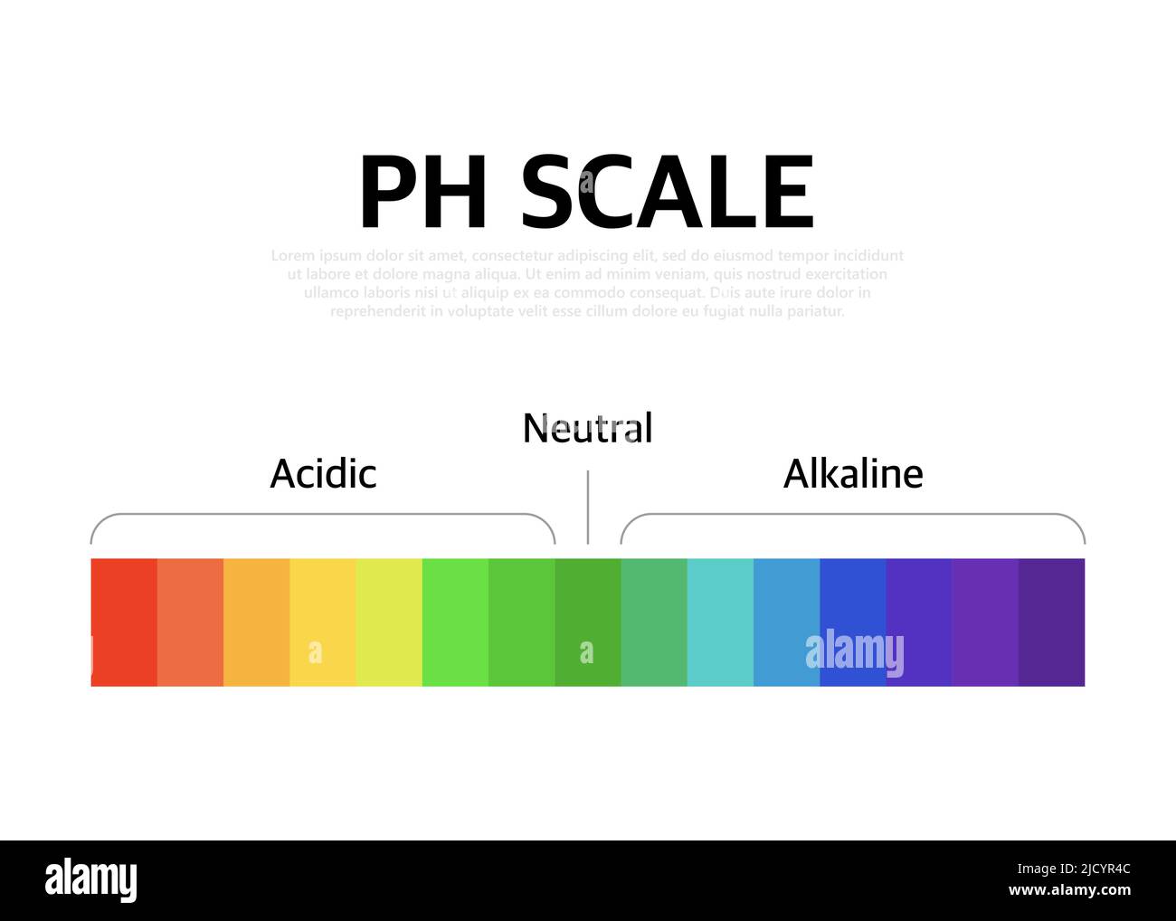 https://c8.alamy.com/comp/2JCYR4C/the-ph-scale-universal-indicator-ph-color-chart-diagram-vector-illustration-with-ph-scale-2JCYR4C.jpg