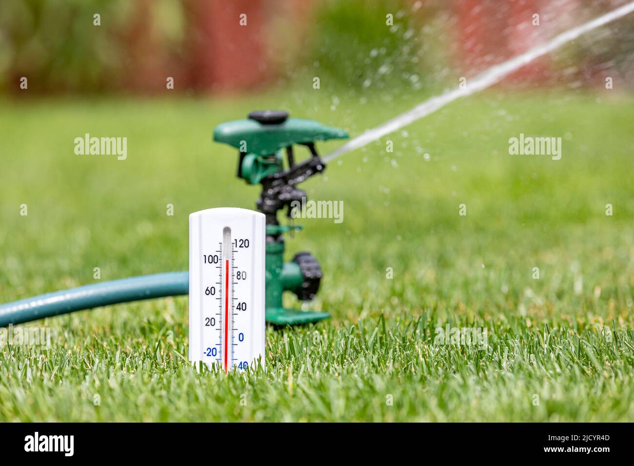 Thermometer with lawn sprinkler watering grass in yard. Drought, water conservation, hot weather and lawncare concept Stock Photo