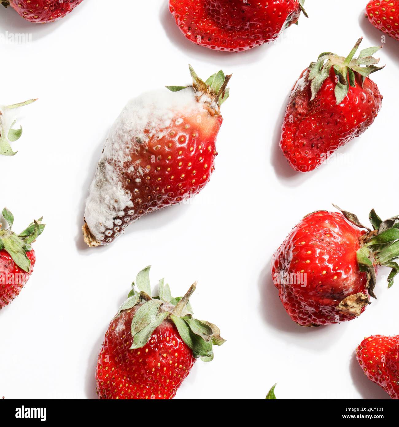 rotten strawberries on white background.global hunger problem. copy space. overconsumption, food waste concept. spoiled, dangerous food. Stock Photo