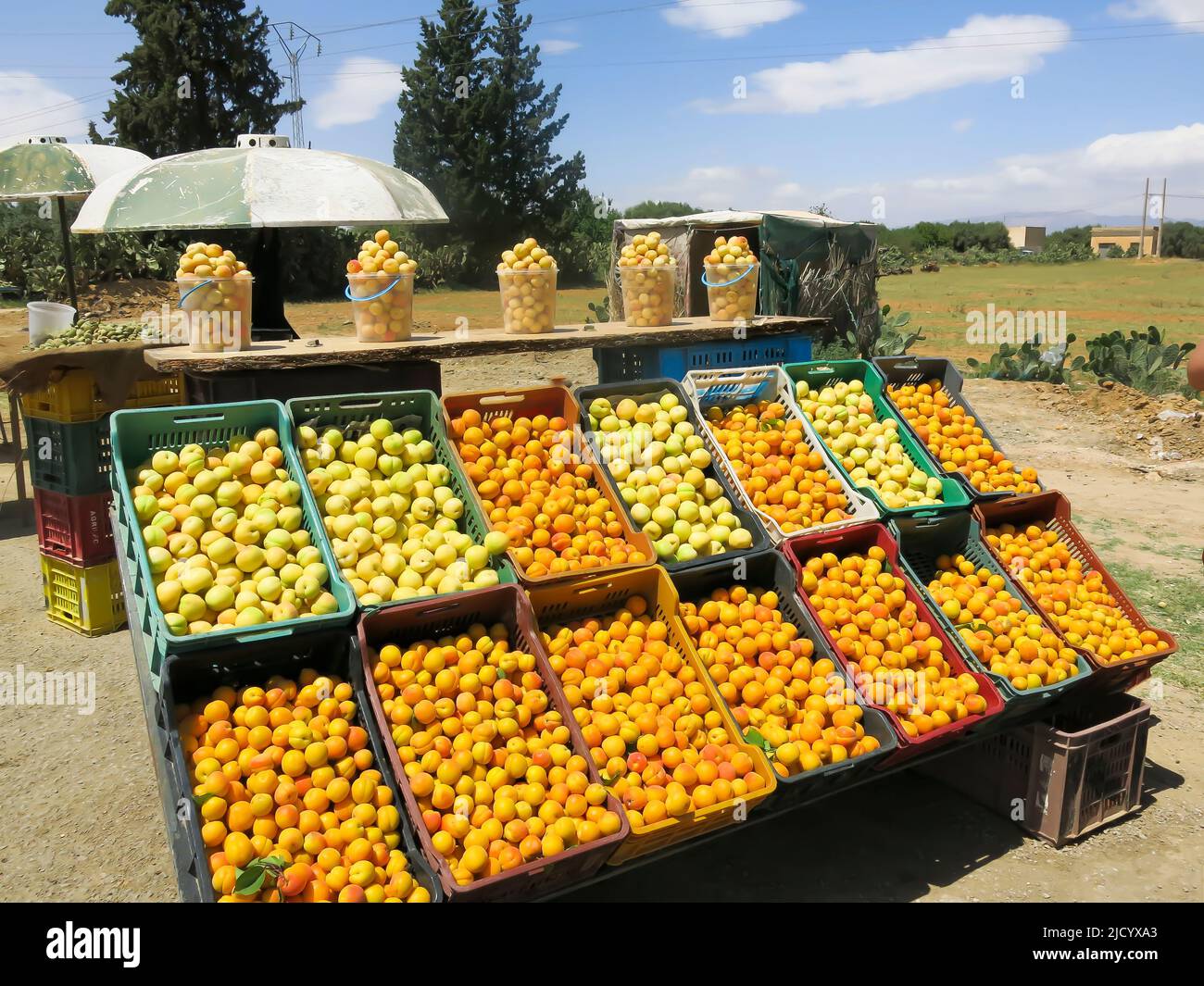 Roadside Fruit Stand Stock Photo
