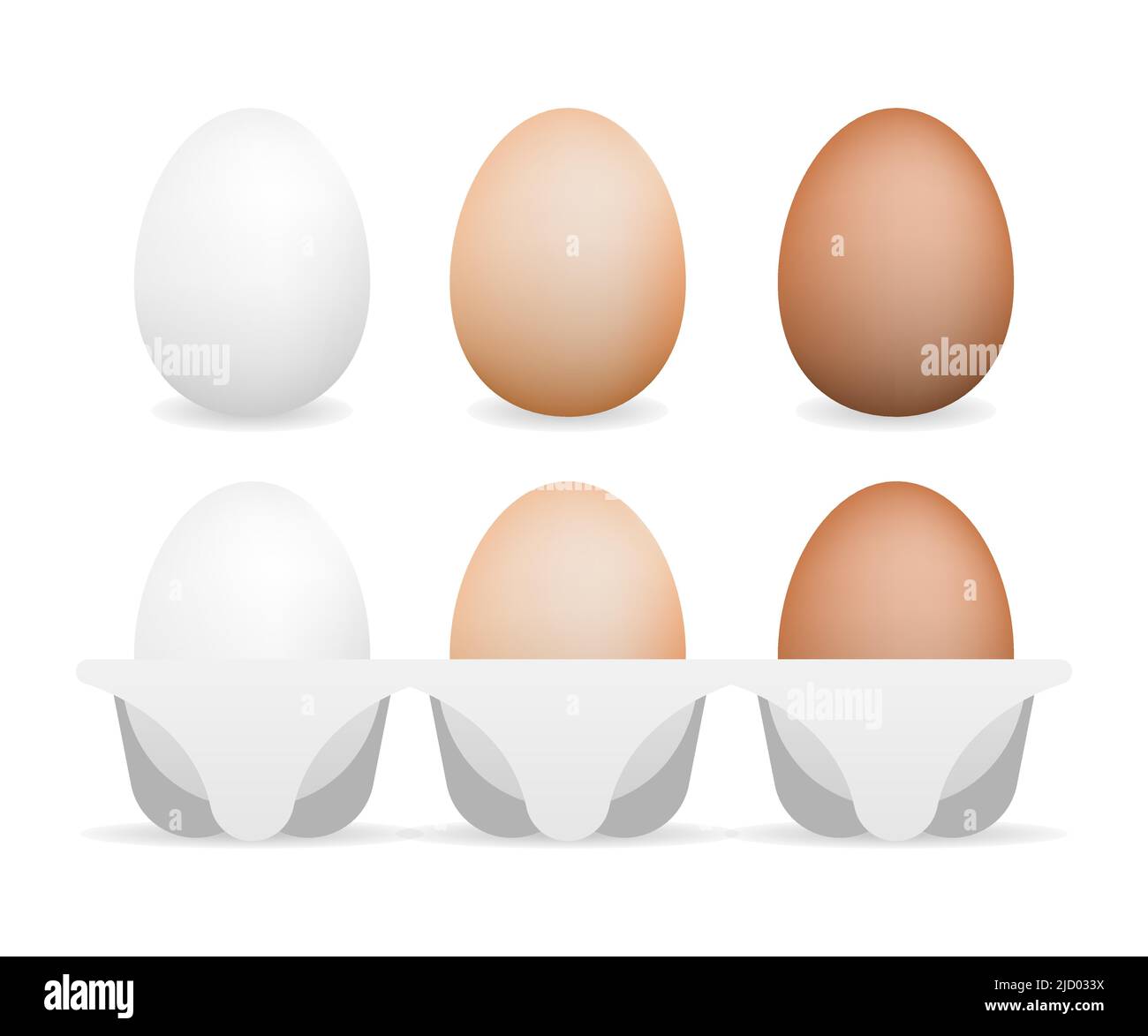 3d realistic vector aggs. Flat illustration. Healthy meal. Natural ...