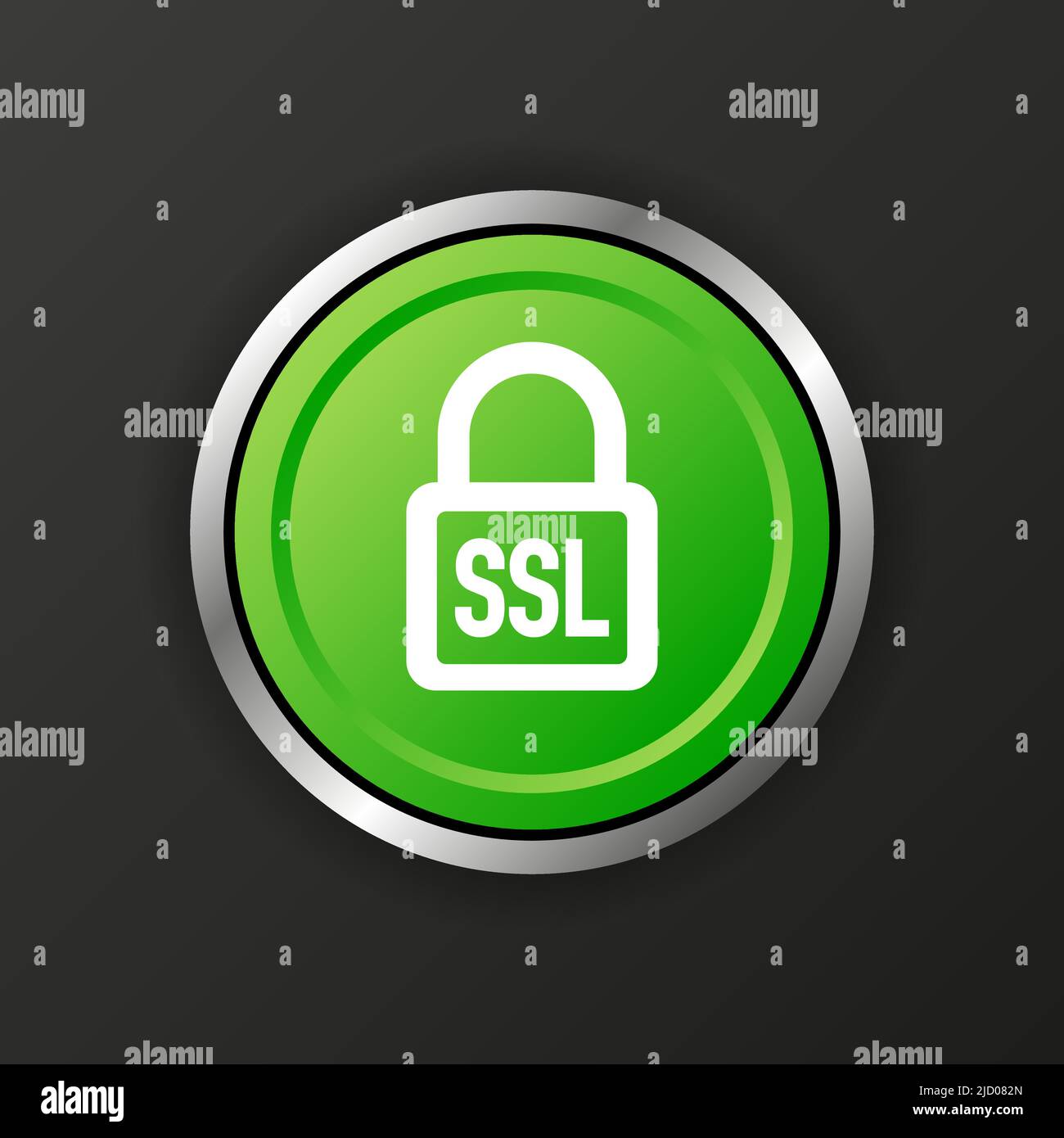 SSL encryption button. Secure icon. Vector illustration. Stock Vector