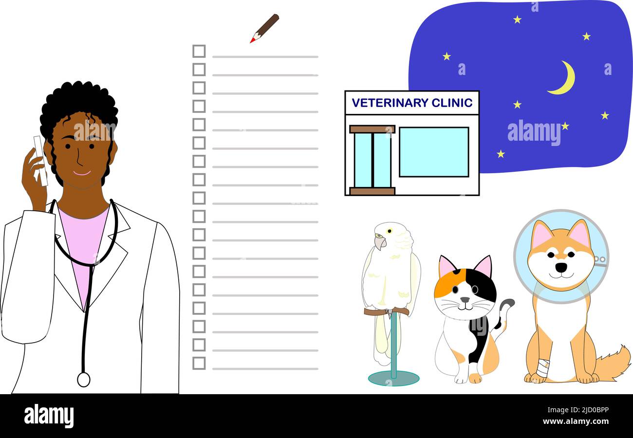A black female veterinarian with a mobile phone: Veterinary clinic at night and a parrot, cat, and dog, Elizabethan collar Stock Photo