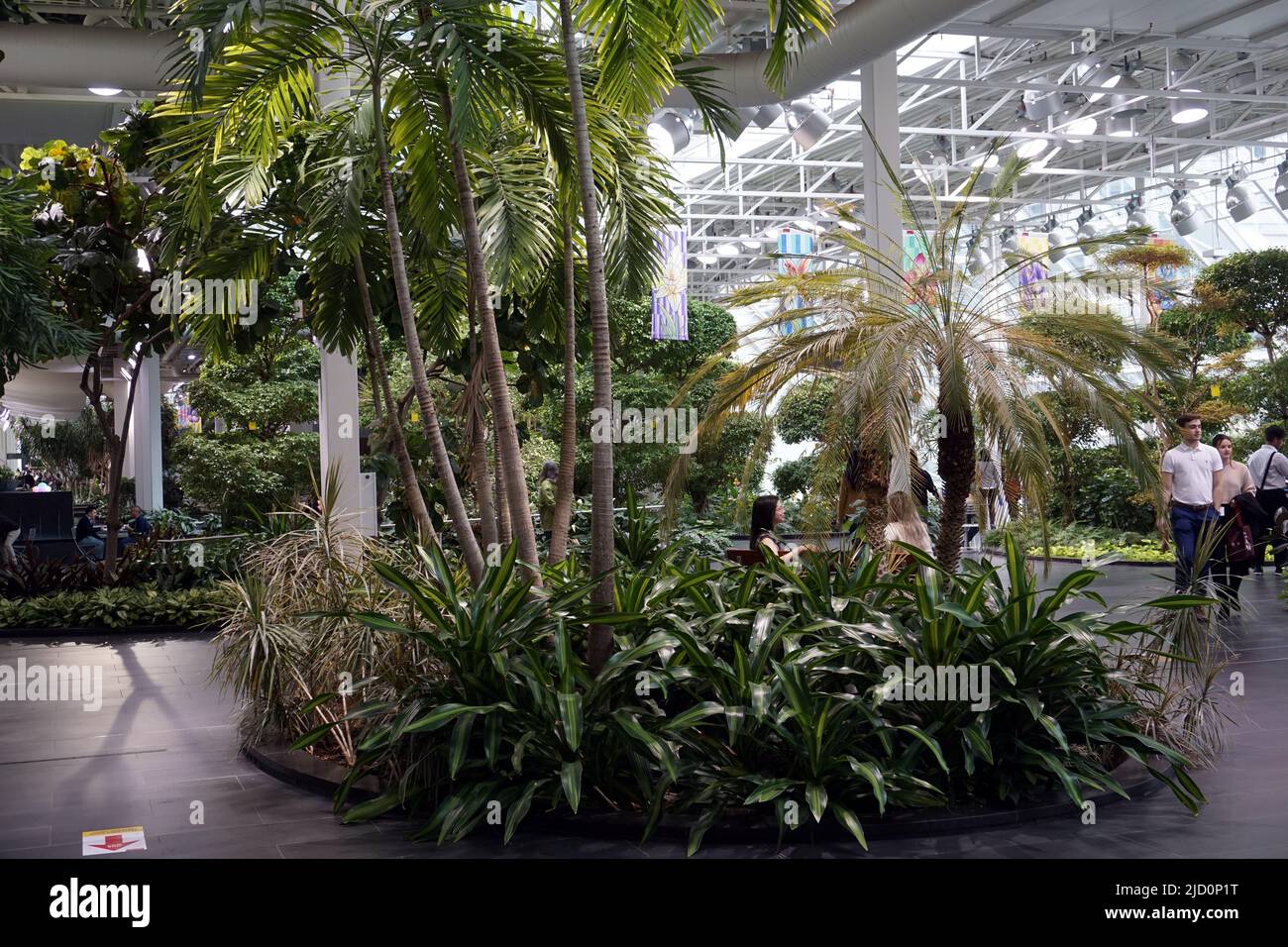 Devonian indoor gardens, downtown Calgary, Alberta Stock Photo