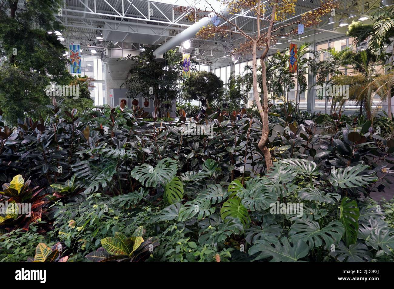 Devonian indoor gardens, downtown Calgary, Alberta Stock Photo