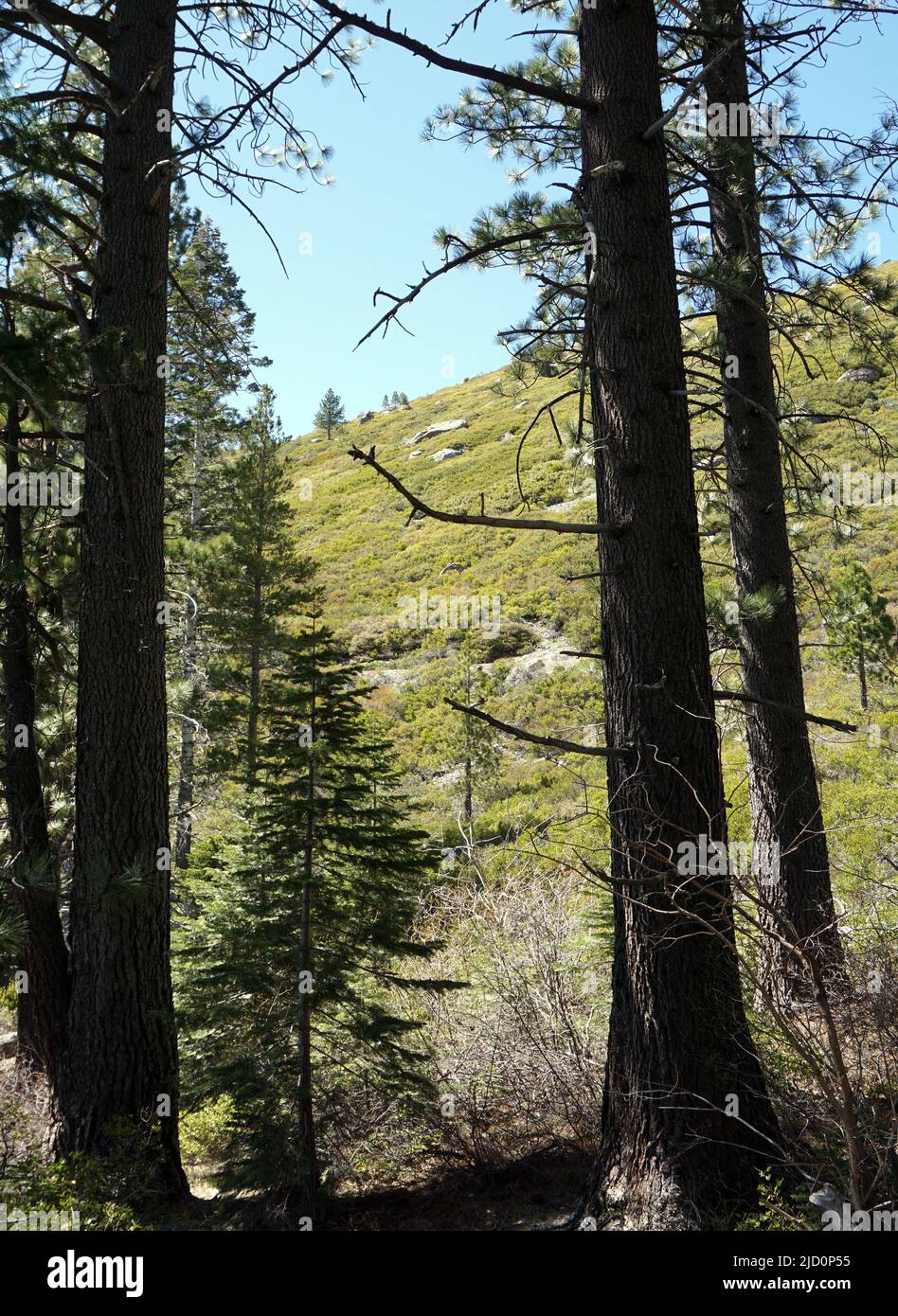 The Sierra Nevada Mountains, California Stock Photo