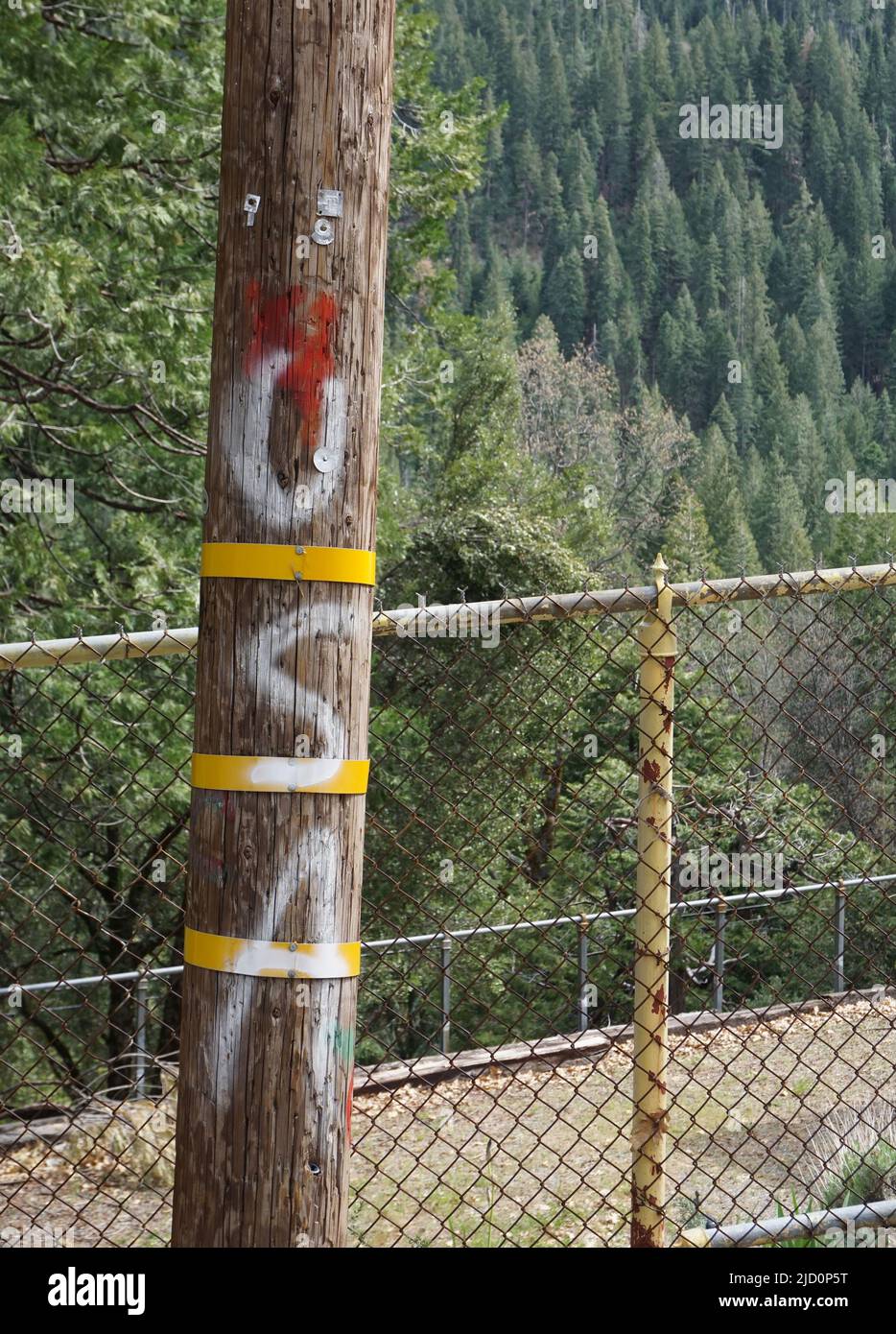 USA spray painted onto an electric pole, California Stock Photo