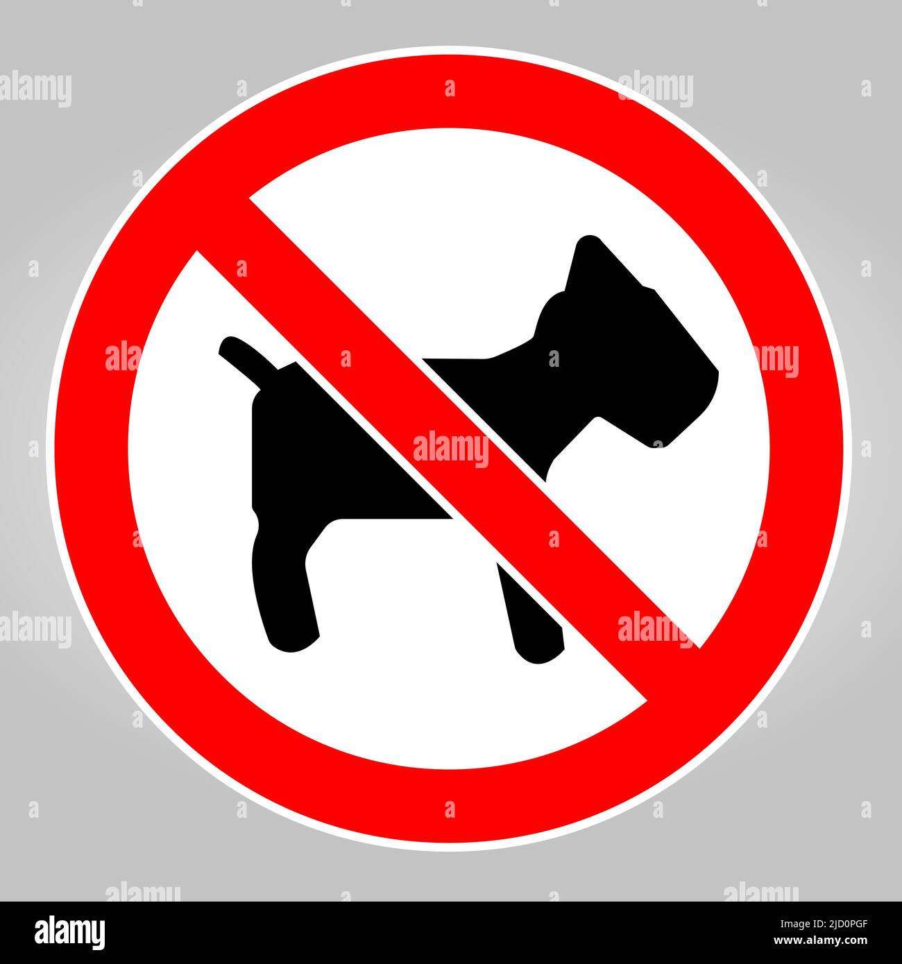 Do not dogs allowed sign Stock Vector Image & Art Alamy