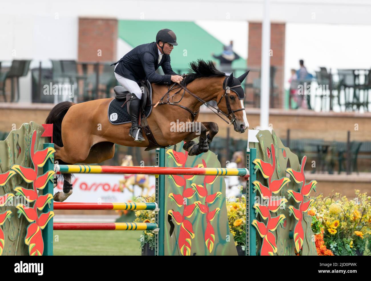 Calgary, Alberta, Canada, 2022-06-16, Kyle King (USA) riding Enzo ...
