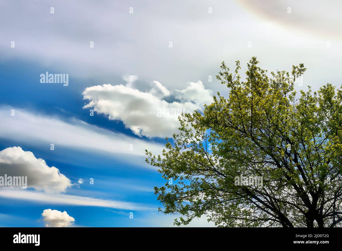 Wispy clouds on a blue sky in rural Alberta Canada Stock Photo