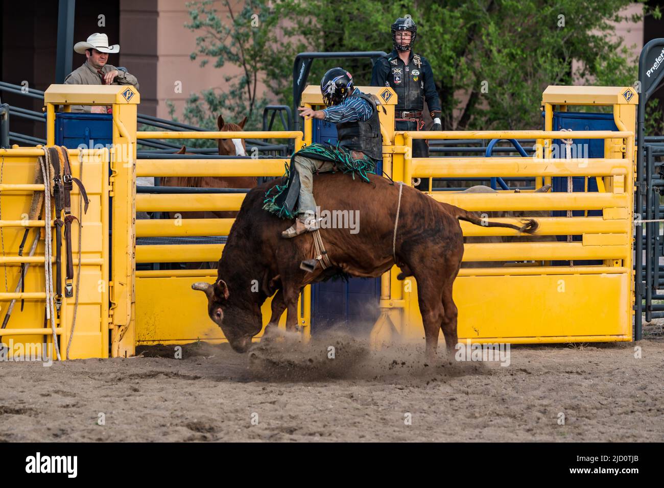 Bull riding at Rodeo in Colorado Springs, Colorado Stock Photo