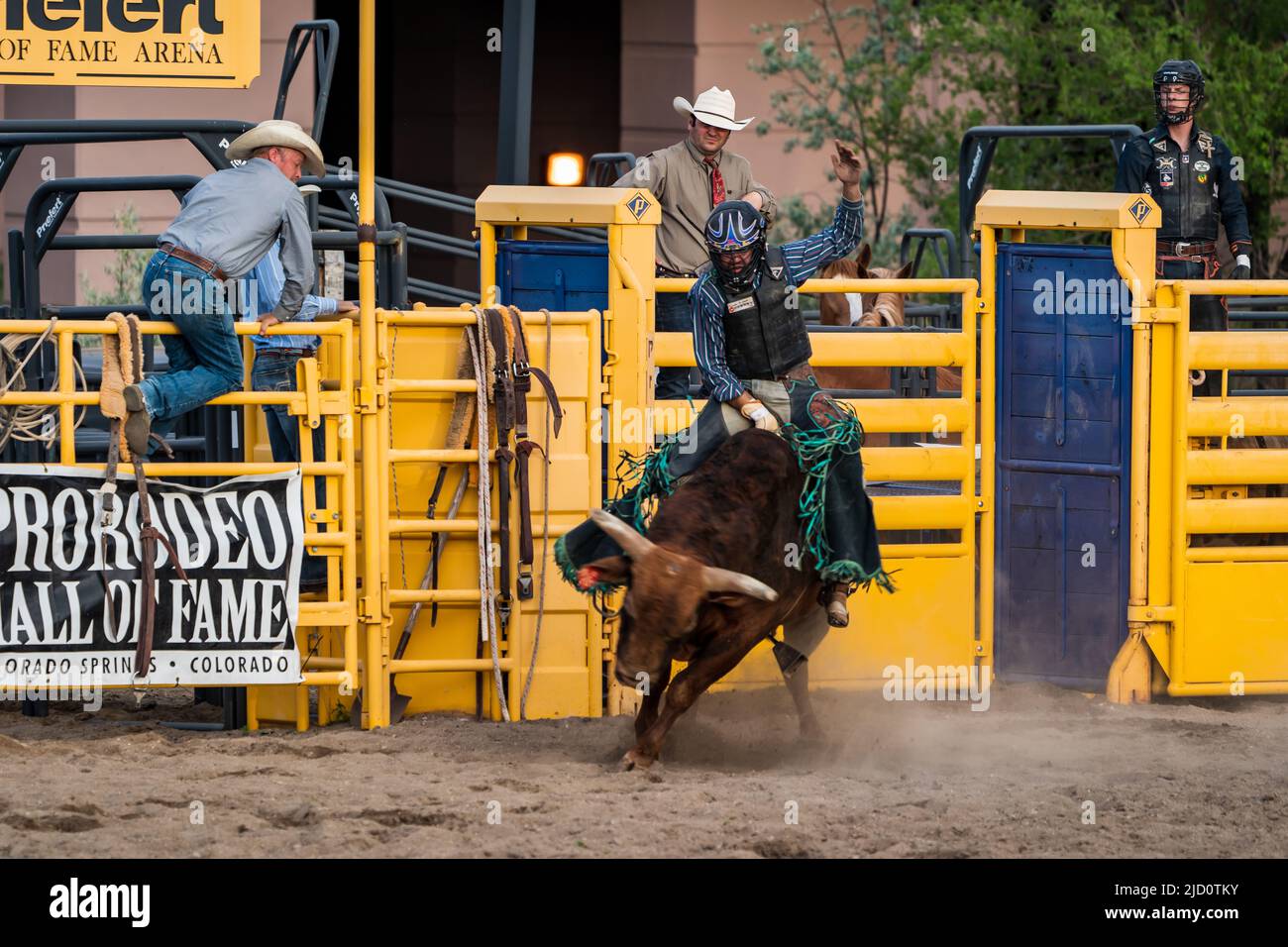 Bull riding at Rodeo in Colorado Springs, Colorado Stock Photo - Alamy