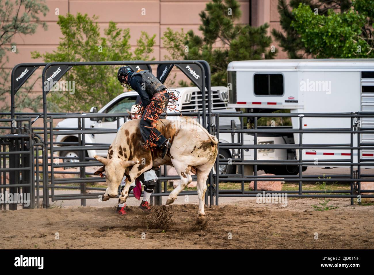Bull riding at Rodeo in Colorado Springs, Colorado Stock Photo
