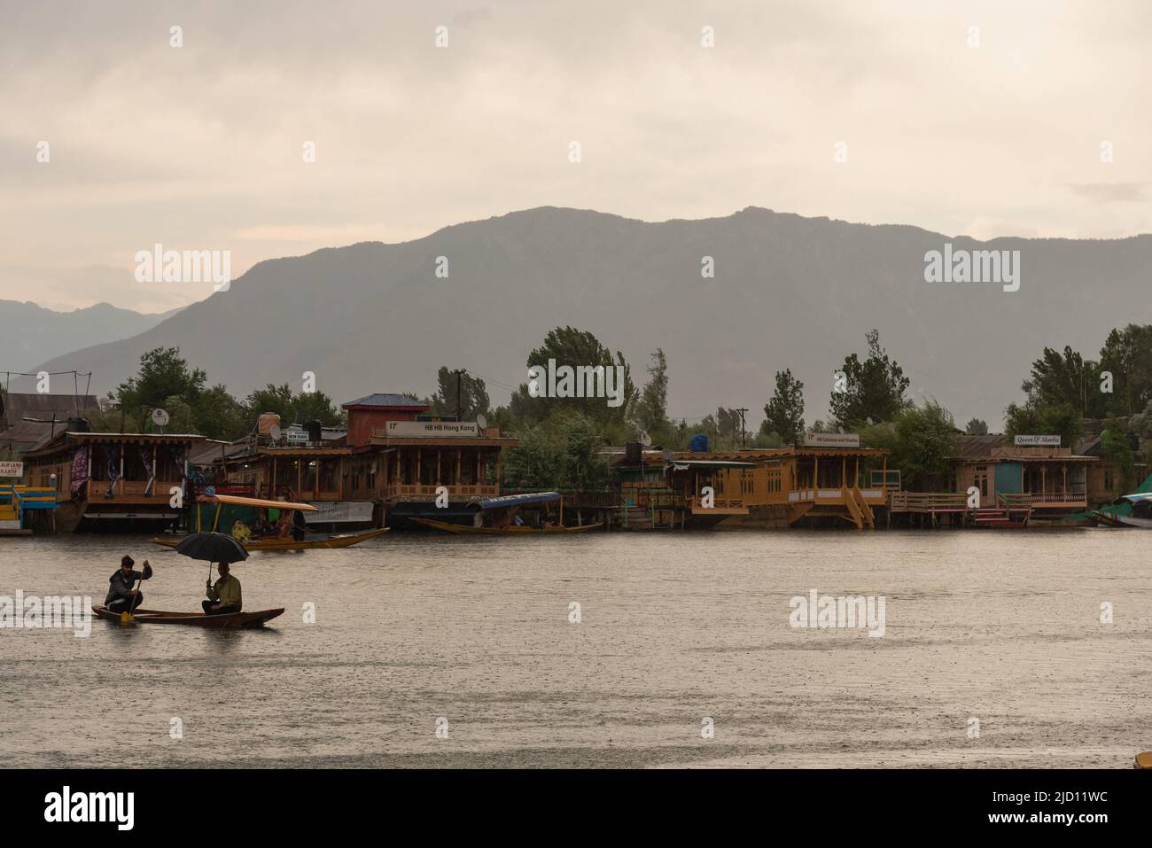 Srinagar, India. 16th June, 2022. A man rows a boat on dal lake on a ...