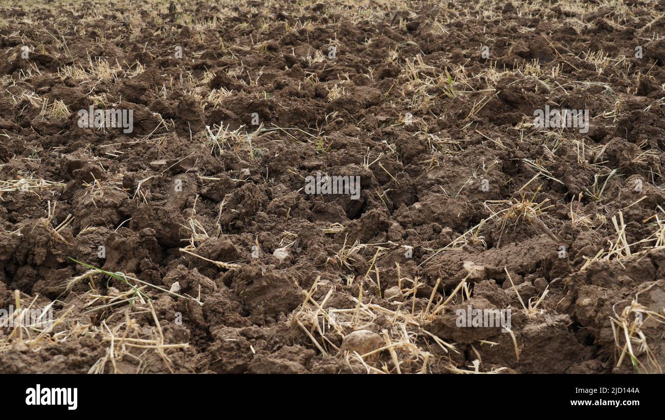 Agricultural Land Recently Plowed and Prepared for the Crop Stock Photo ...