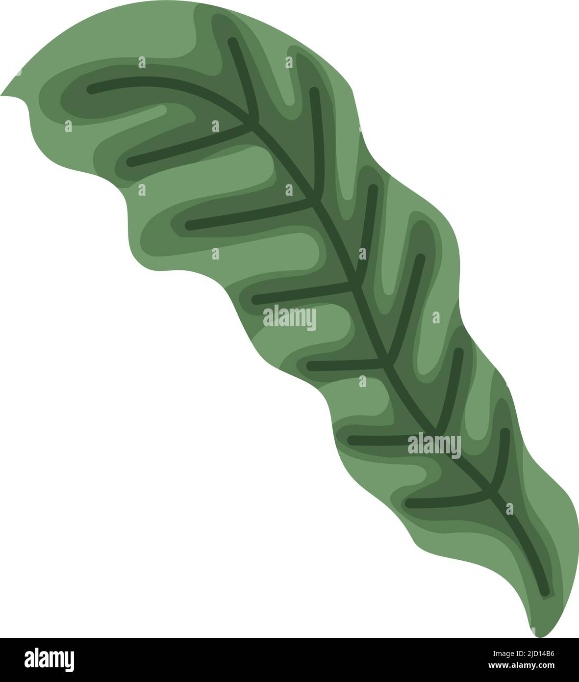 green leaf plant nature icon Stock Vector Image & Art - Alamy