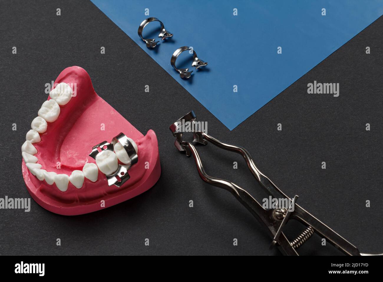 Layout of the human jaw, a rubber dam with dental dam clamps and a