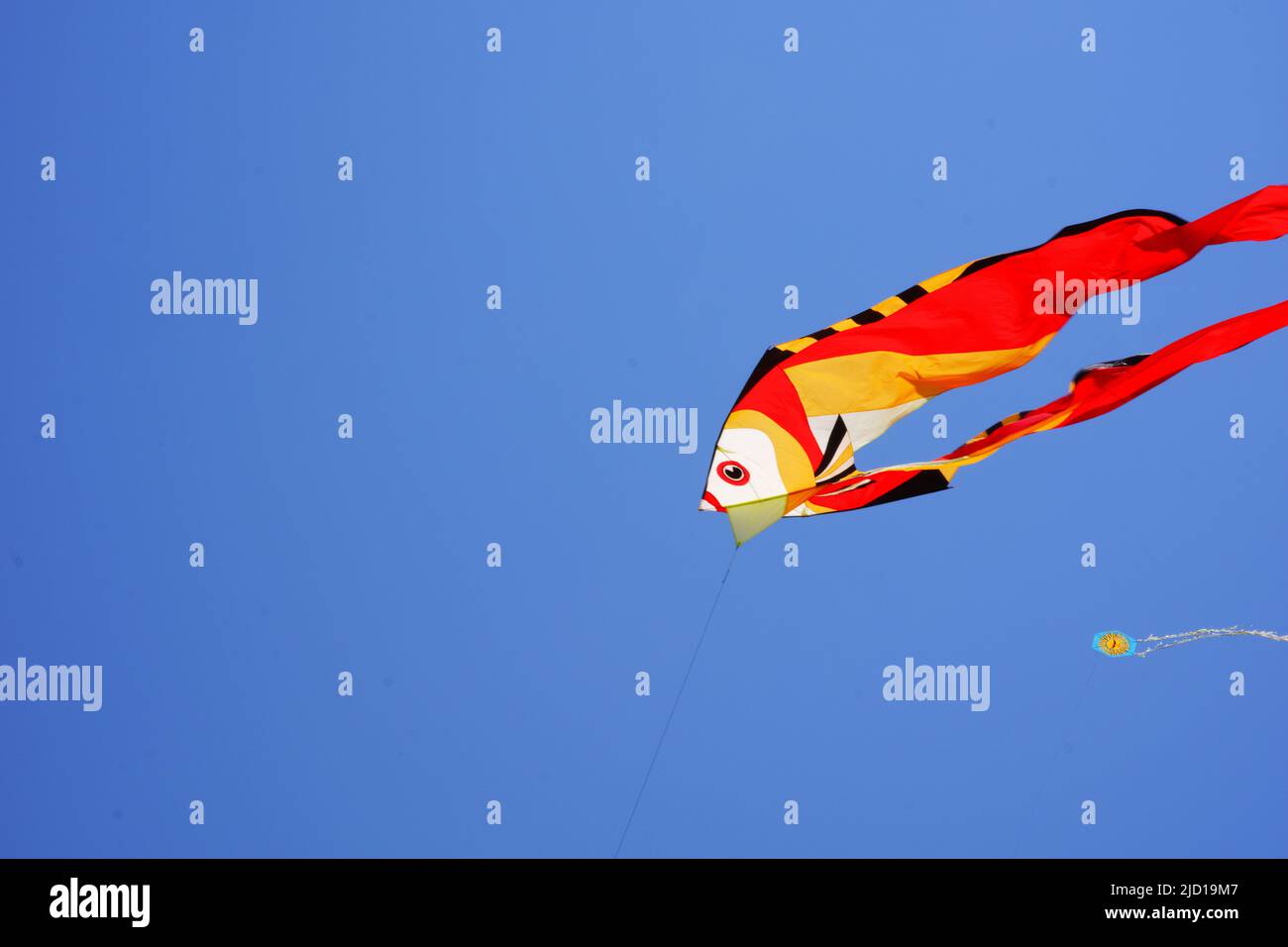 Kite fishing hi-res stock photography and images - Page 3 - Alamy