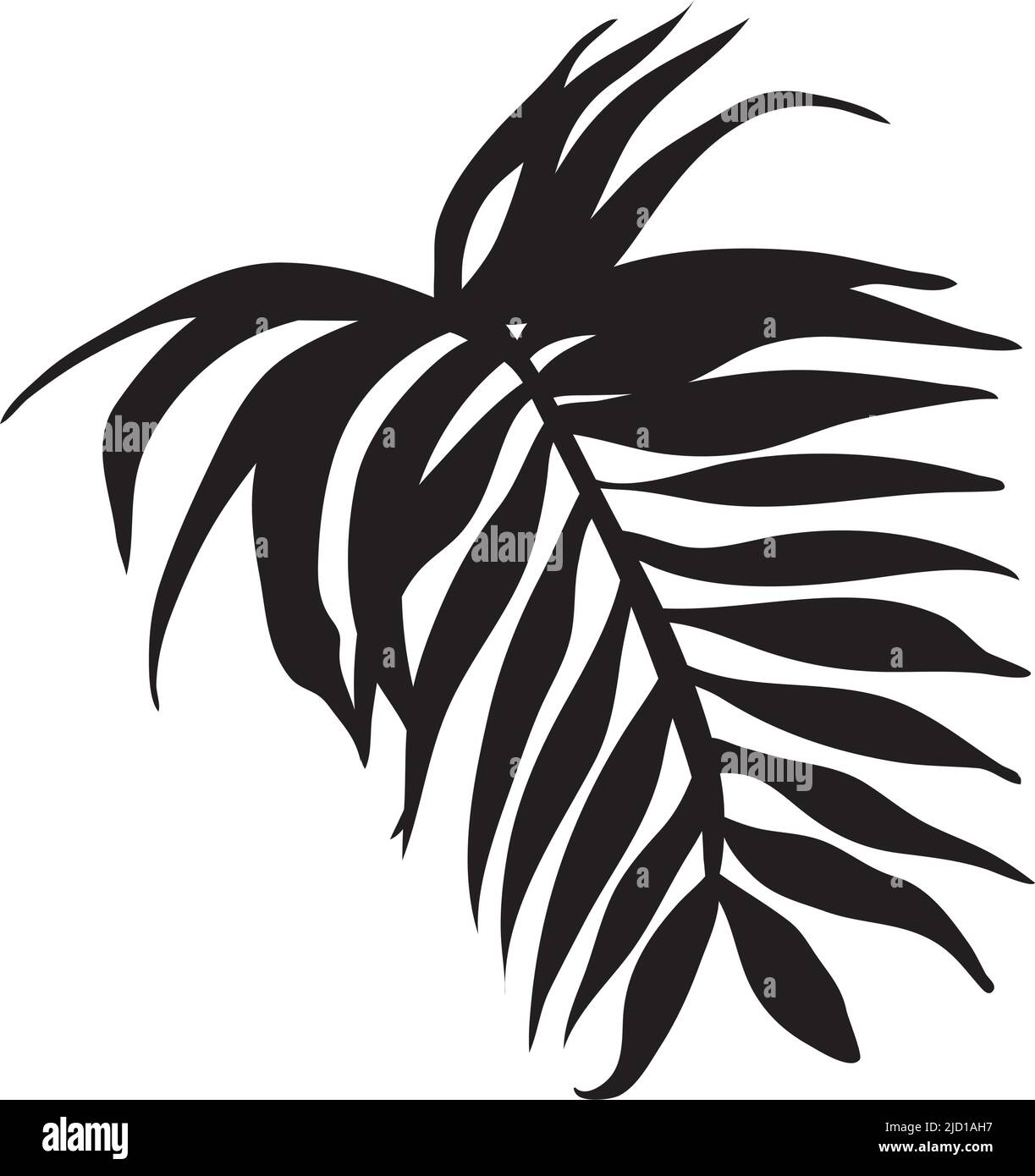 exotic leaf palm silhouette icon Stock Vector Image & Art - Alamy