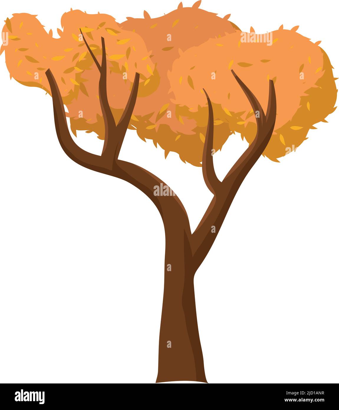 orange autumn tree seasonal plant Stock Vector Image & Art - Alamy