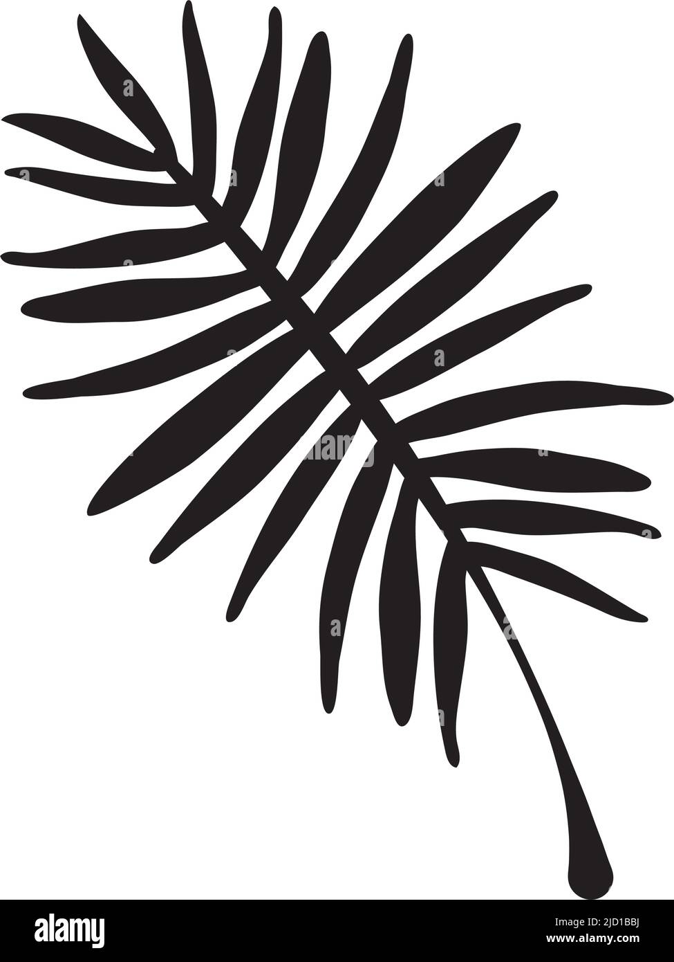 Palm leave Black and White Stock Photos & Images - Alamy