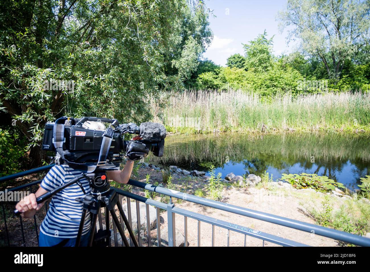 Berlin, Germany. 16th June, 2022. A camerawoman films the artificially irrigated Großer Karpfenpfuhl in the Pfuhl area on Britzer Straße during a water show organized by BUND Berlin on the occasion of the presentation of the new 'Kleingewässerreport 21/22'. According to BUND, the report shows that almost half of the 353 small water bodies examined in six Berlin districts are in poor condition. Credit: Christoph Soeder/dpa/Alamy Live News Stock Photo