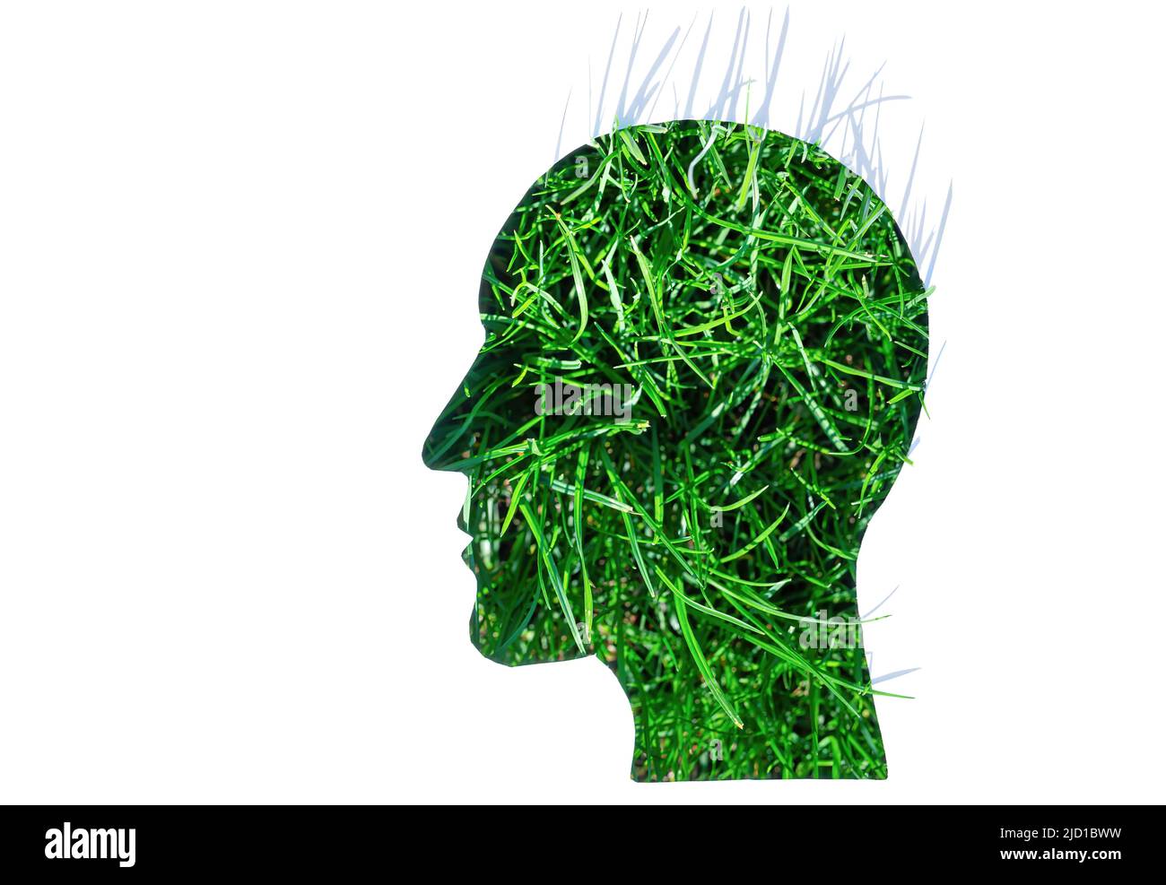Fresh grass blades seen through a man's head shaped paper cut-out with copy space. Sustainable living concept. Stock Photo