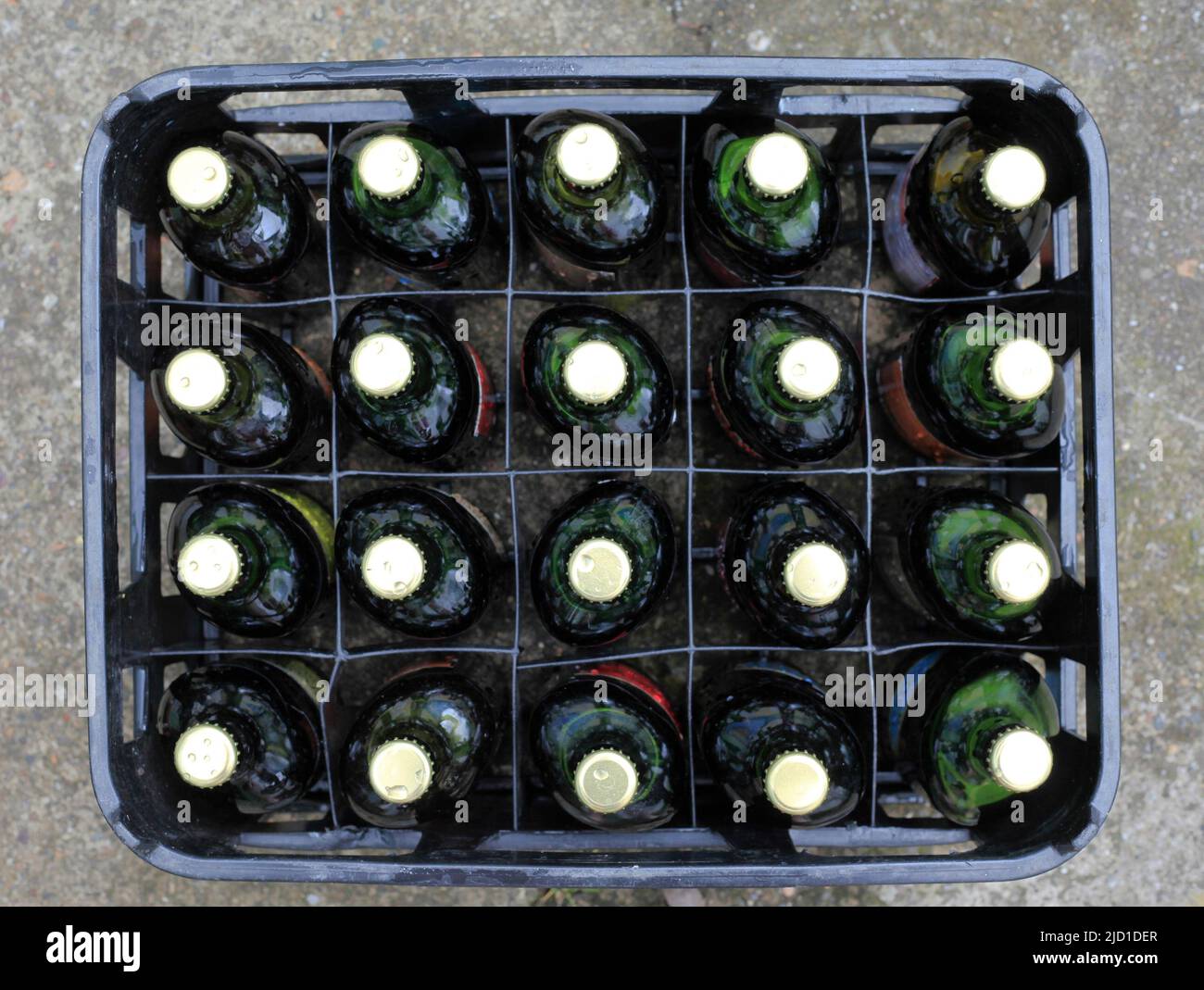 Crate of beer - twenty green bottles Stock Photo
