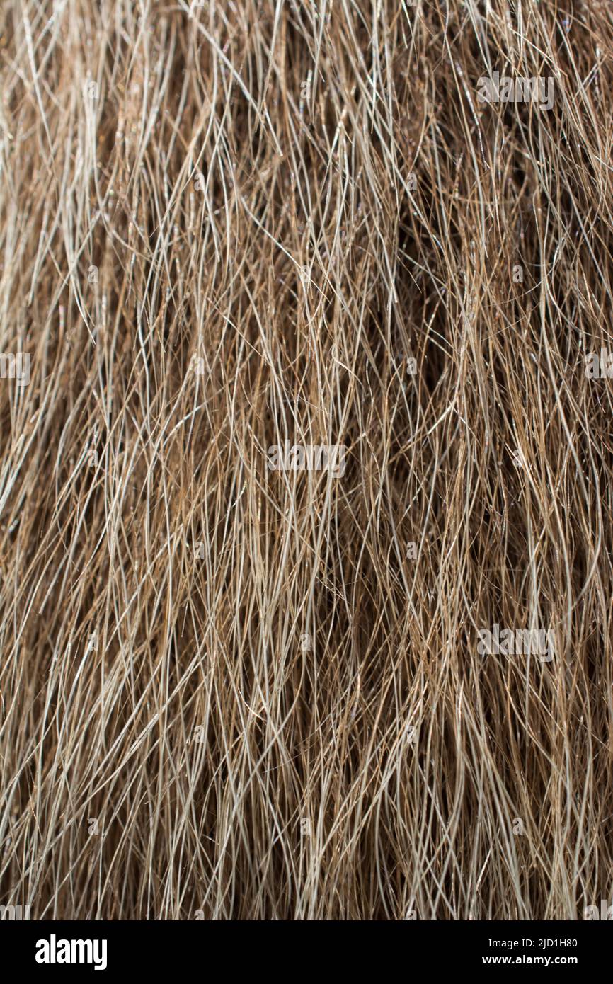 Decorative animal fur as a background texture Stock Photo