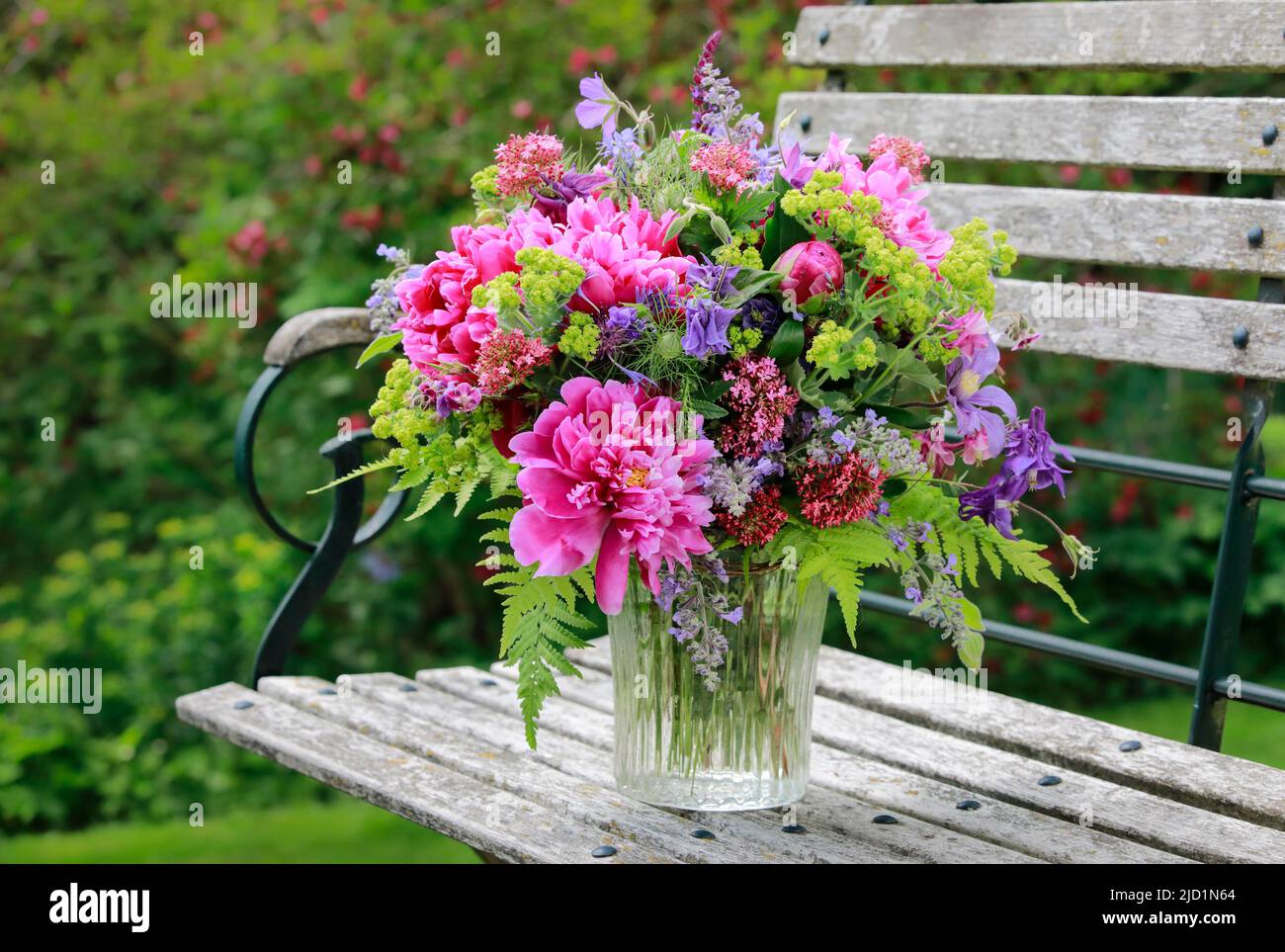 Colourful bouquet in red, pink and violet shades with peonies and columbines, stands in glass vase on decorative wooden garden bench Stock Photo