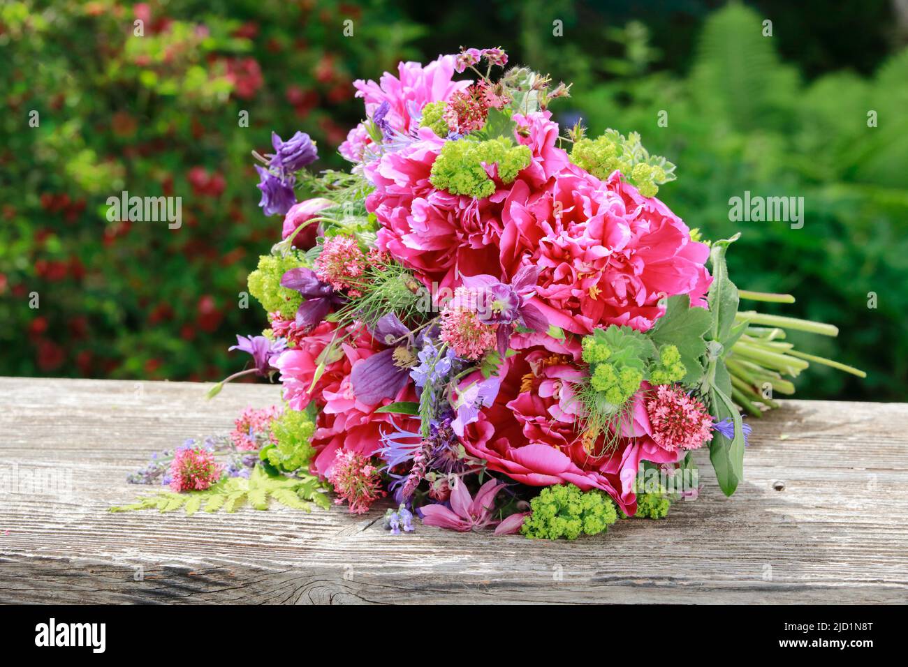 Colourful bouquet of flowers in red, pink and purple shades with peonies and columbines, lying on weathered wooden board in the garden Stock Photo
