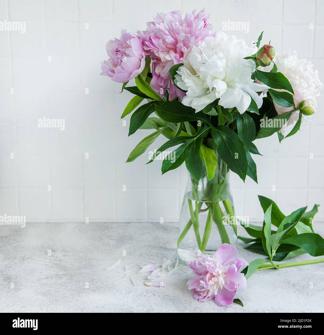 Beautiful bouquet of flowers: white and pink peonies in a vase Stock ...