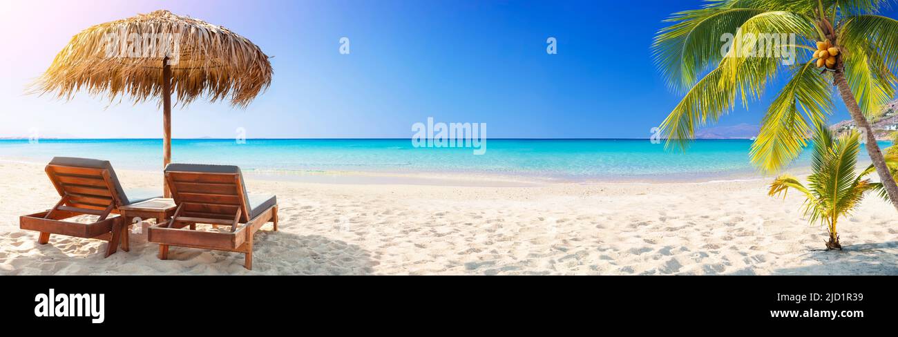 Tropical Beach - Chairs And Palm Trees On Coral Sand With Blue Ocean - Summer Vacation Stock Photo
