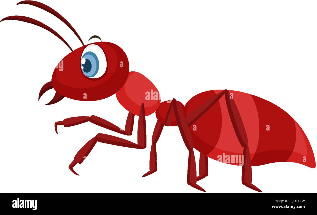 Red ant isolated on white background illustration Stock Vector Image &amp; Art - Alamy