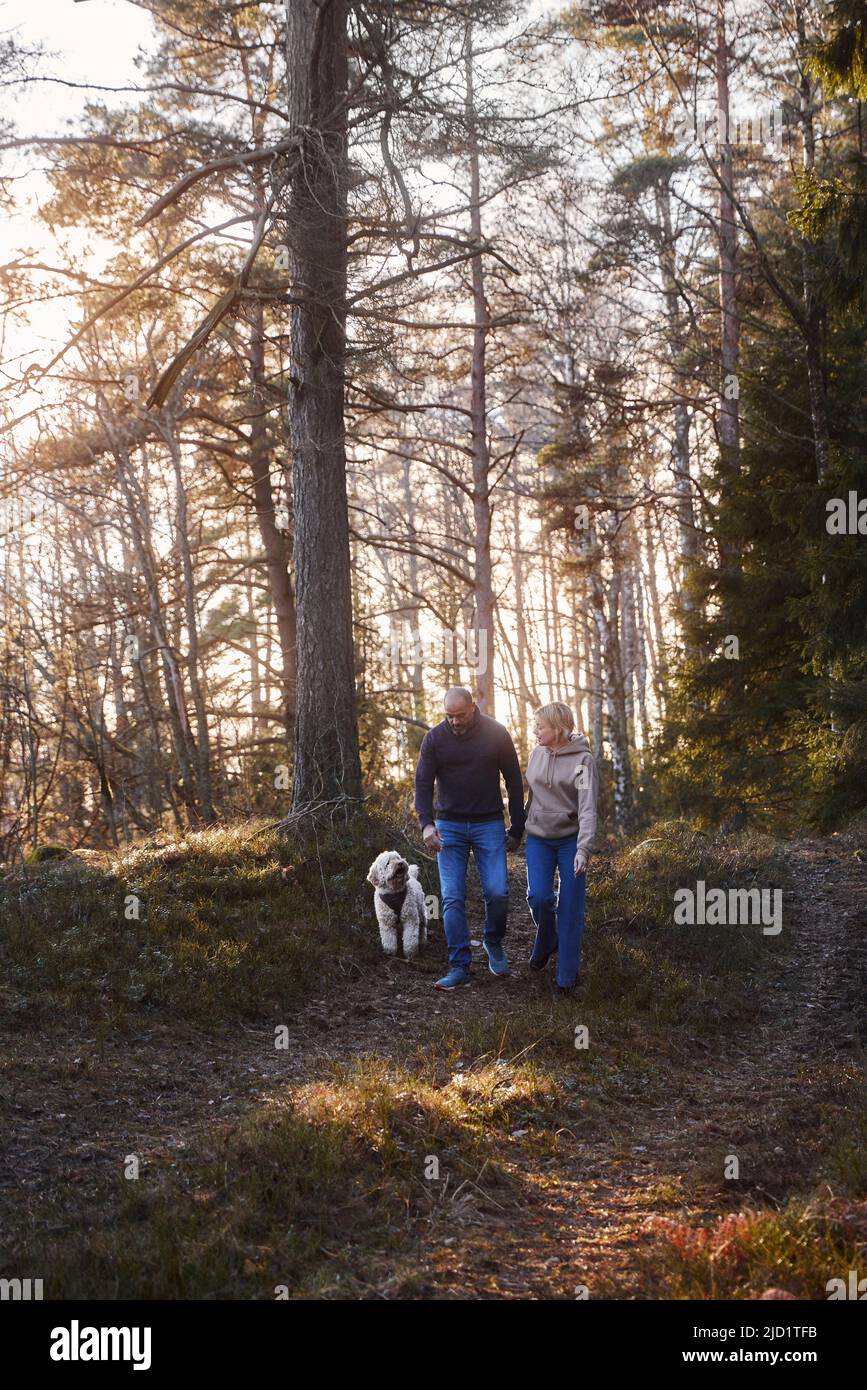 Couple walking with dog in forest Stock Photo - Alamy